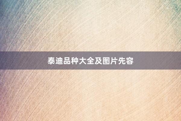 泰迪品种大全及图片先容