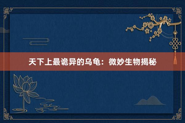 天下上最诡异的乌龟：微妙生物揭秘